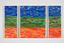 Inferno Terra Paradiso Series 2 Triptych 2 2007 50cm x 80cm £550