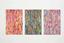 Inferno Terra Paradiso Series 1 Triptych 1 2006 150cm x 300cm £850